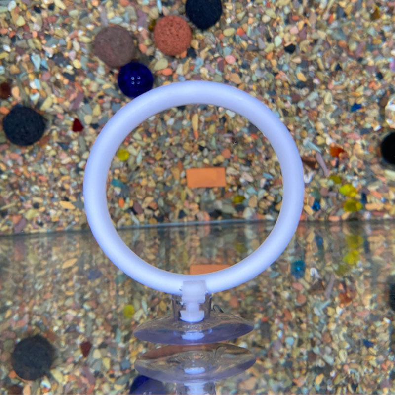 1pcs Plastic Fish Tank Aquariu - đánh giá và giá Gymnastic Ring
